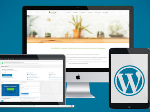 wordpress-website.jpg